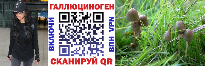 OMG зеркало Заозёрный Псилоцибиновые грибы GOLDEN TEACHER наркотики